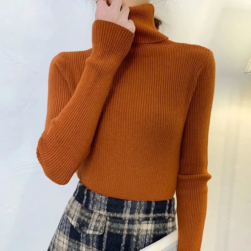 Women Fall Turtleneck Sweater