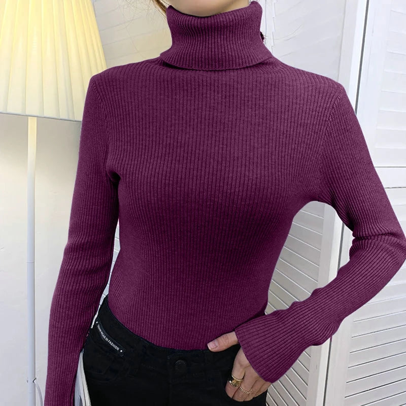 Women Fall Turtleneck Sweater